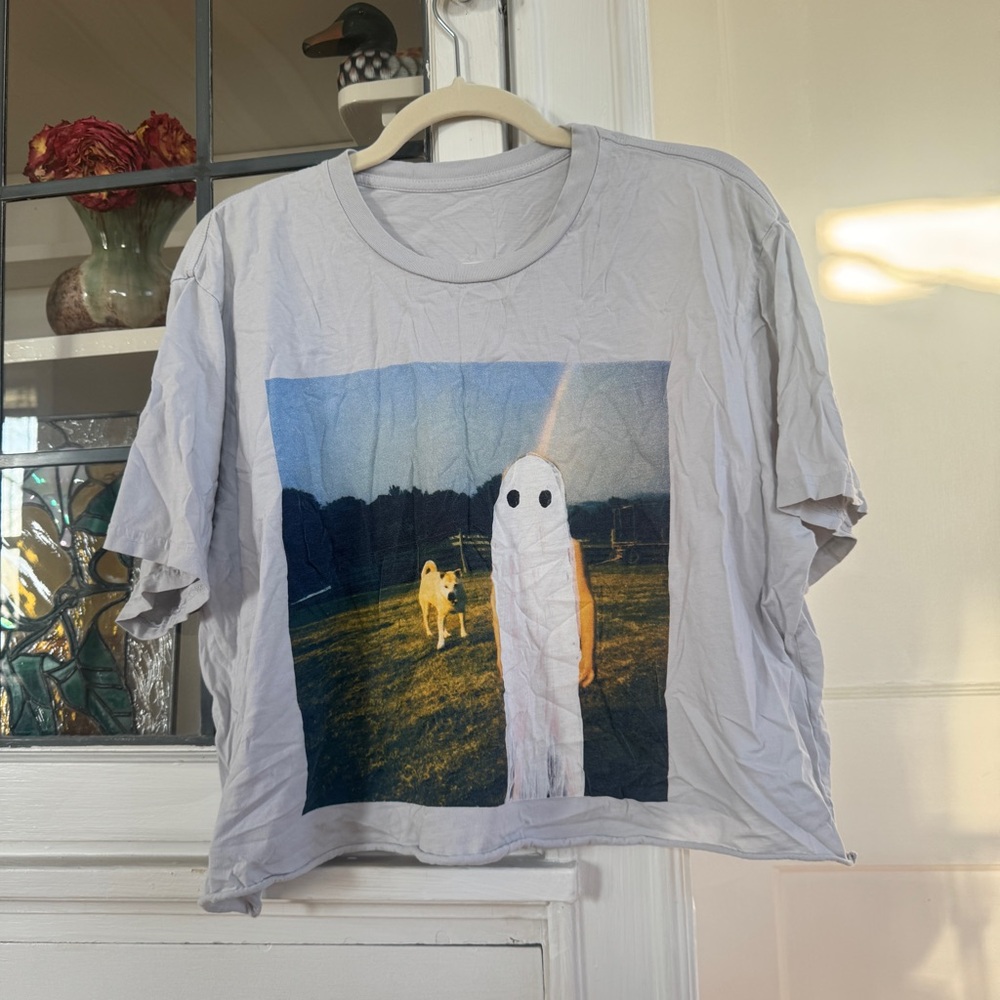 Phoebe Bridgers Stranger in the Alps XL Cropped Album Cover Tee
